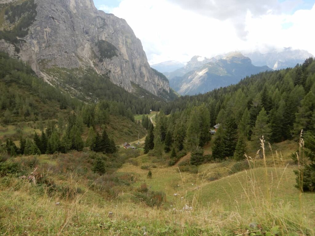 Alta via 1 trail 461