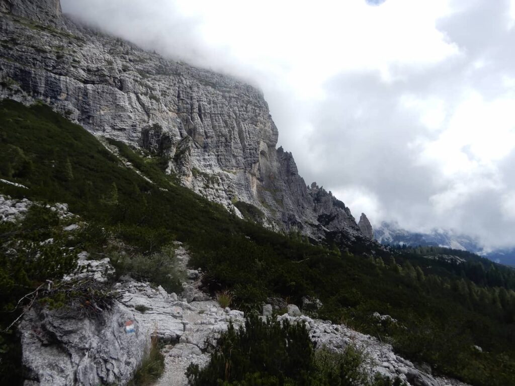 Entering the forest - Alta via 1