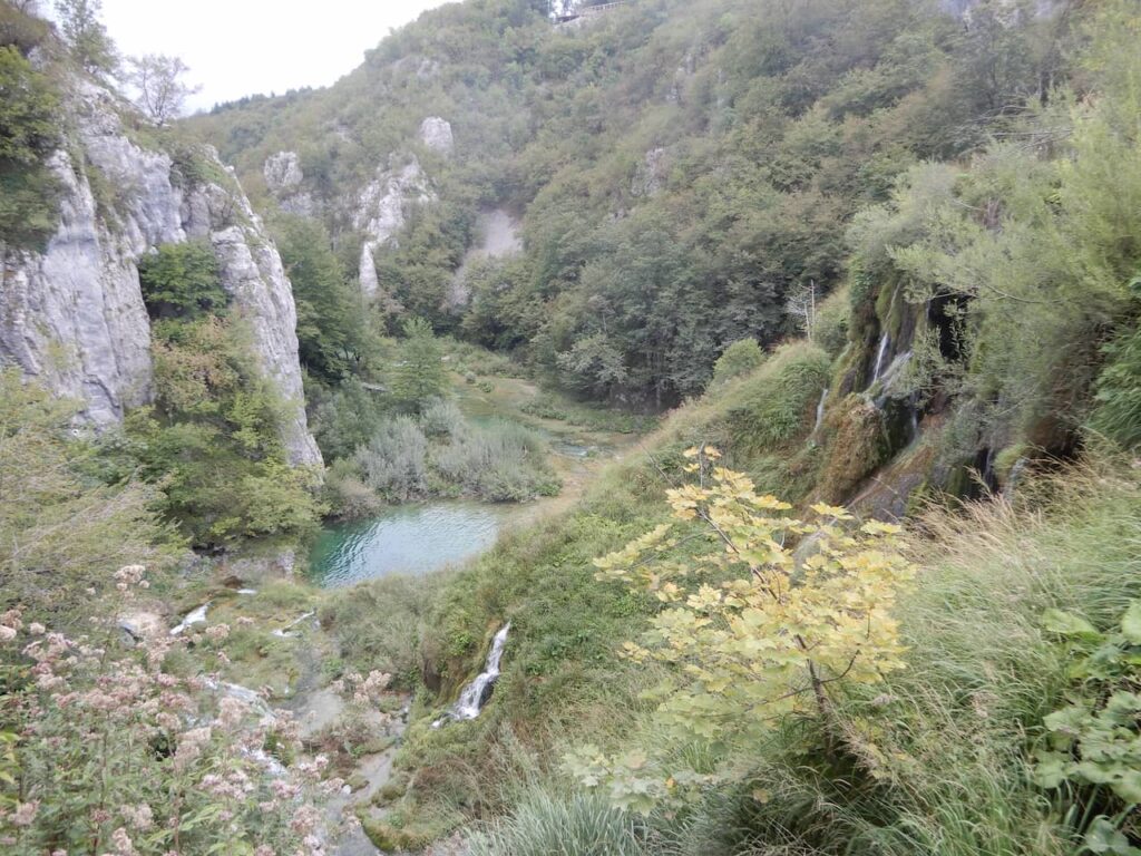 Lagos inferiores