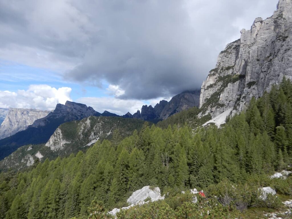 View of the mountains and exit of the trail through the forest.