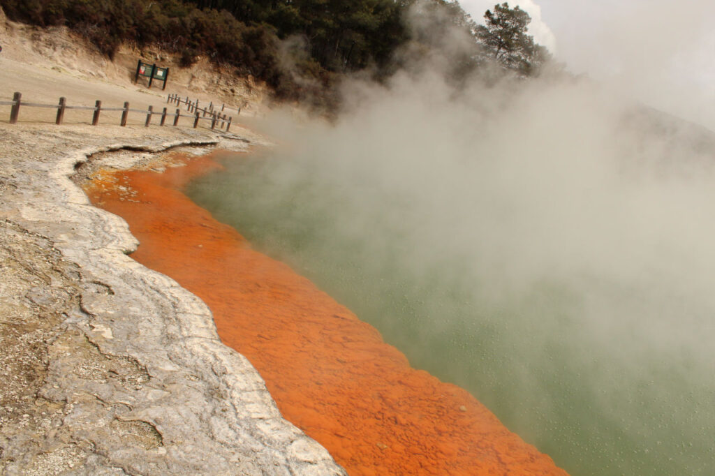 Champagne pool