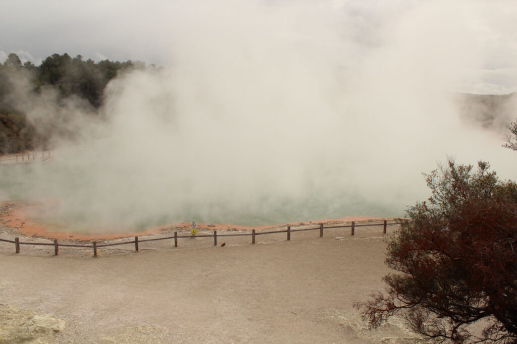 Champagne pool