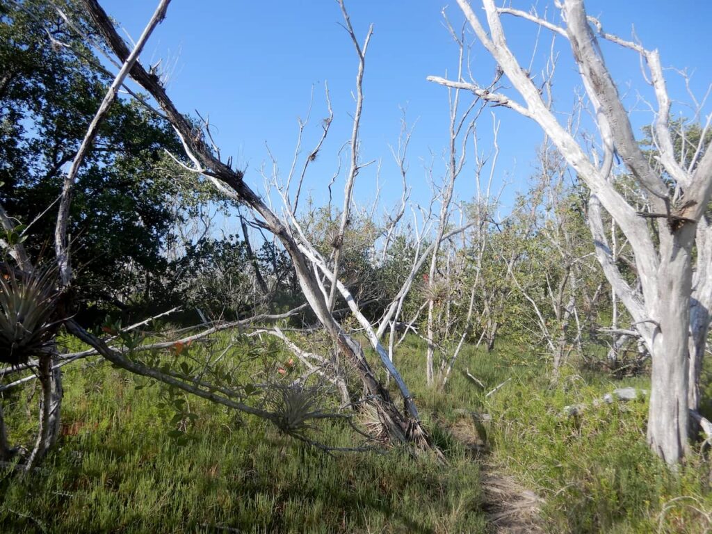 Coastal Prairie Trailhead