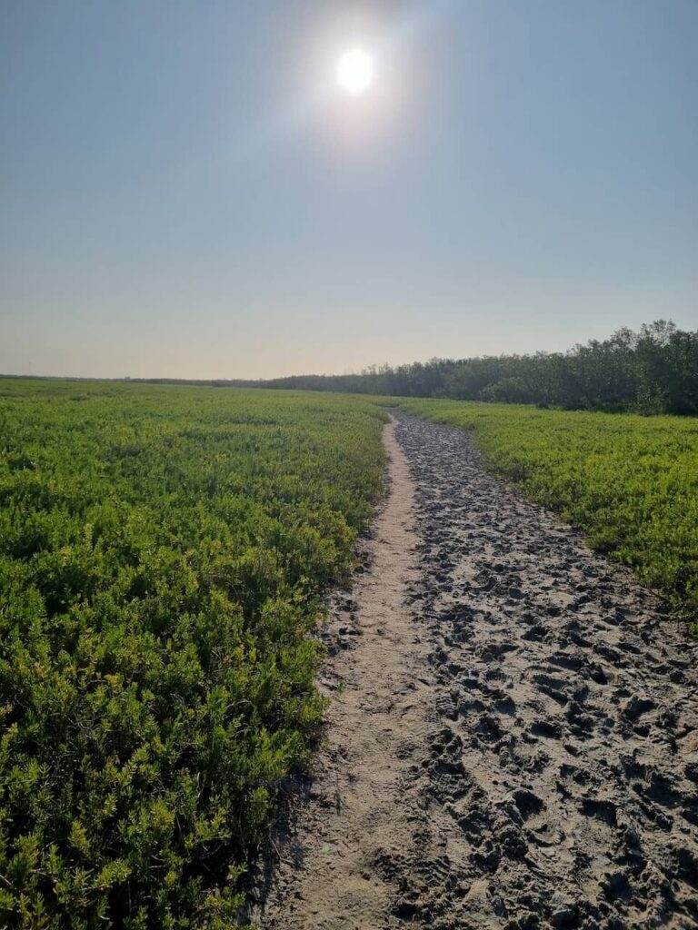 Coastal Prairie Trailhead