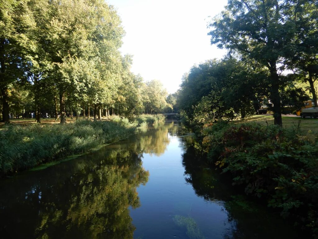 Dommel River