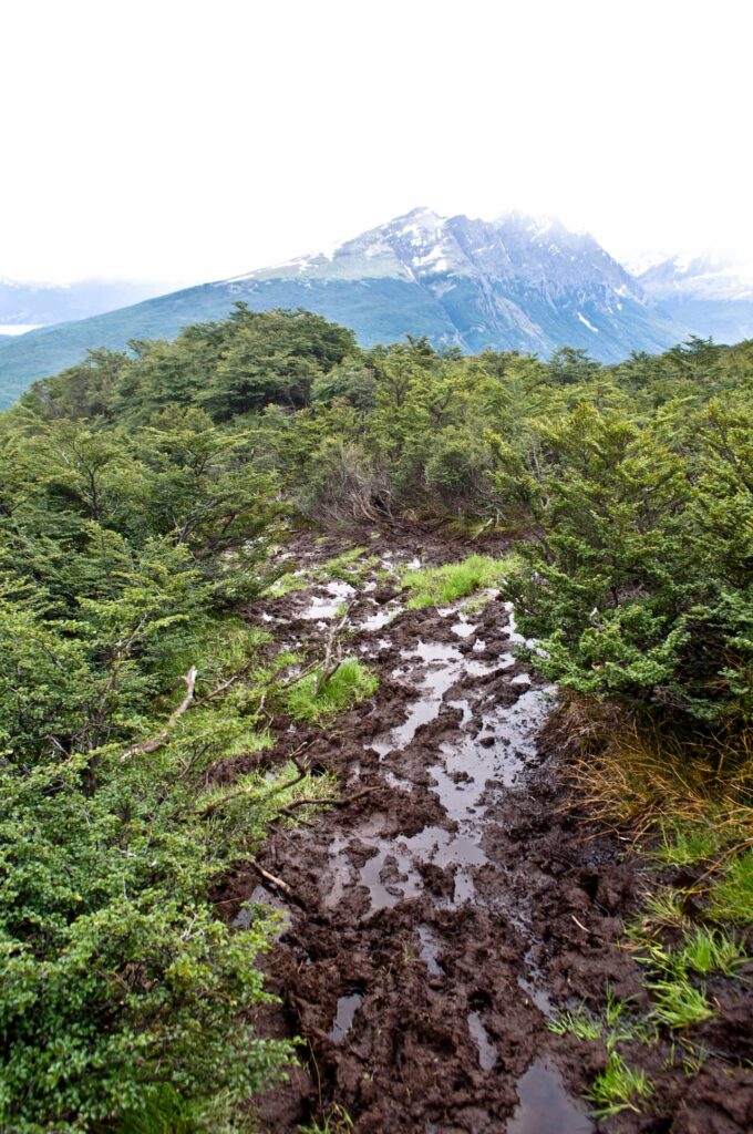 Caminho para lago Esmeralda