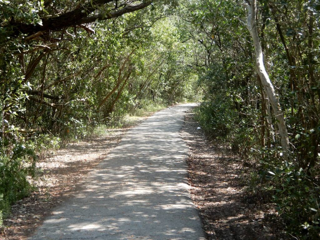 Guy Bradley trail