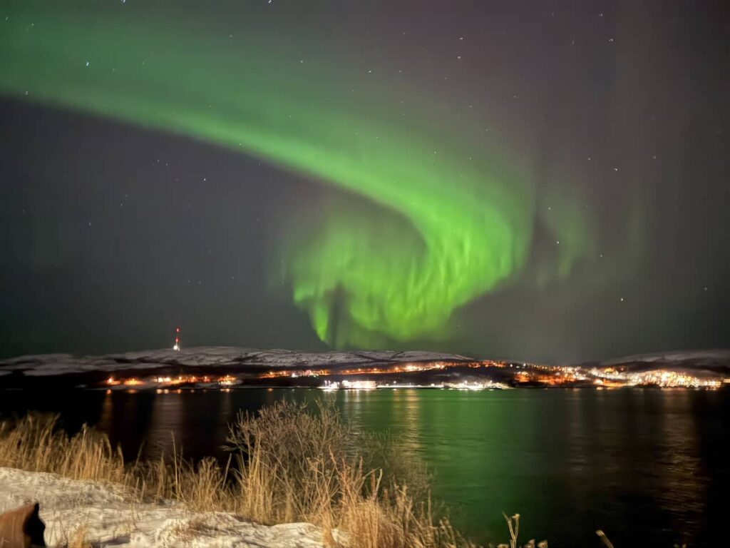 aurara borealis