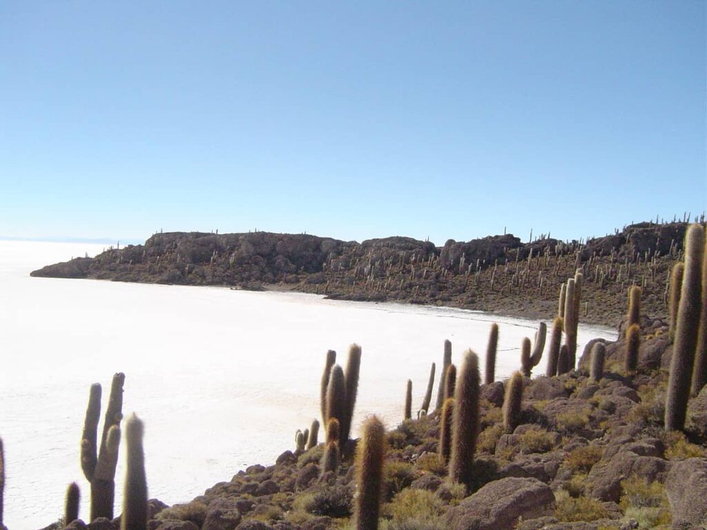 Cactus Island (Incahuasi Island.)