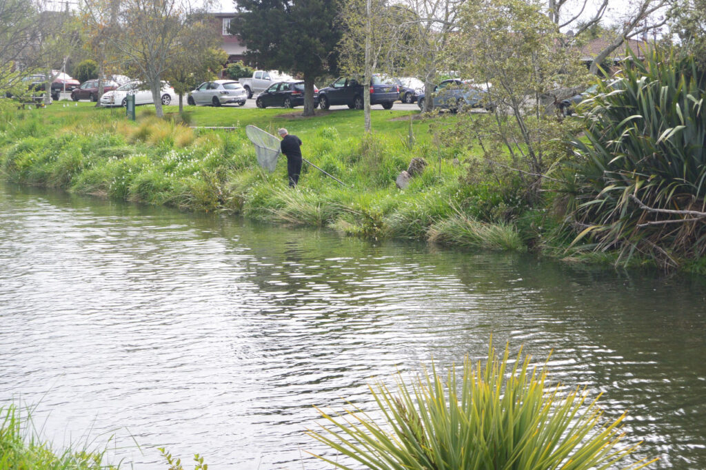 Maitai River in Nelson