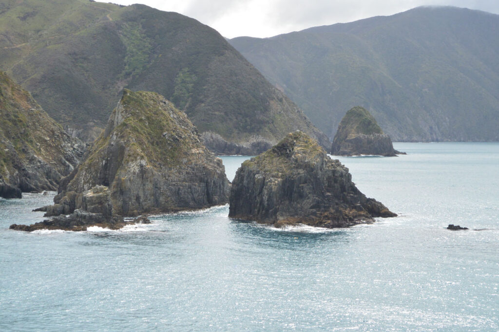 Marlborough sounds