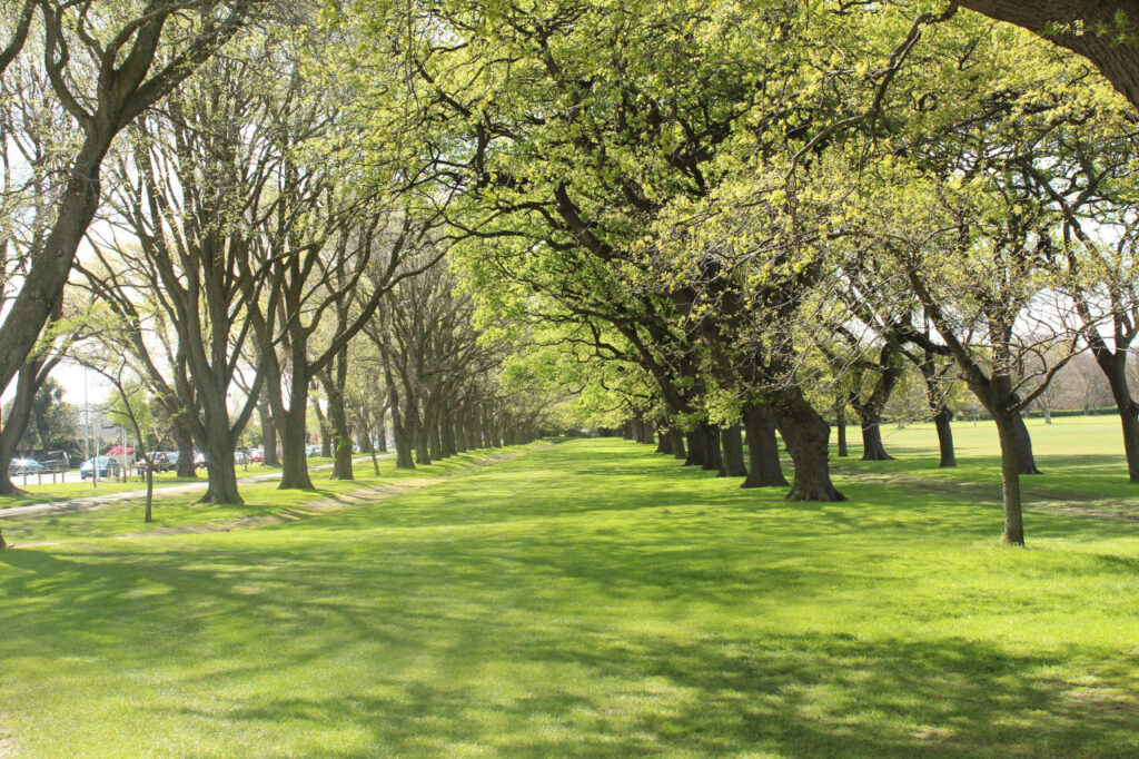 Hagley Park