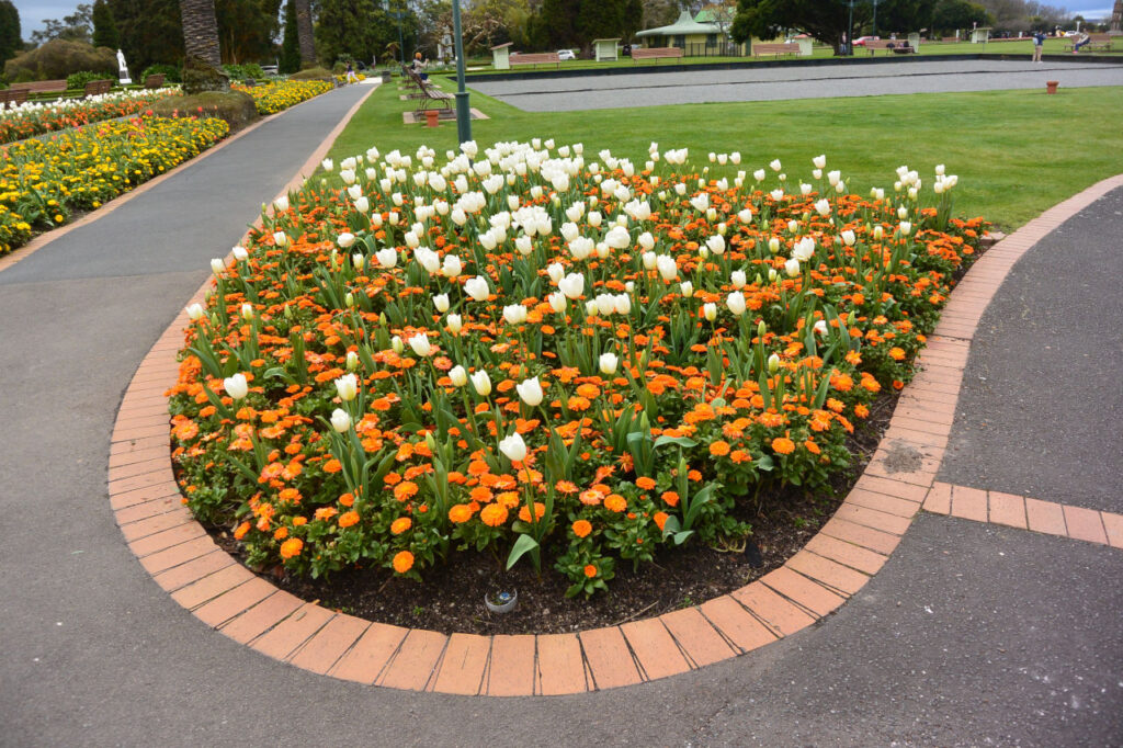 Jardins de Tulipas