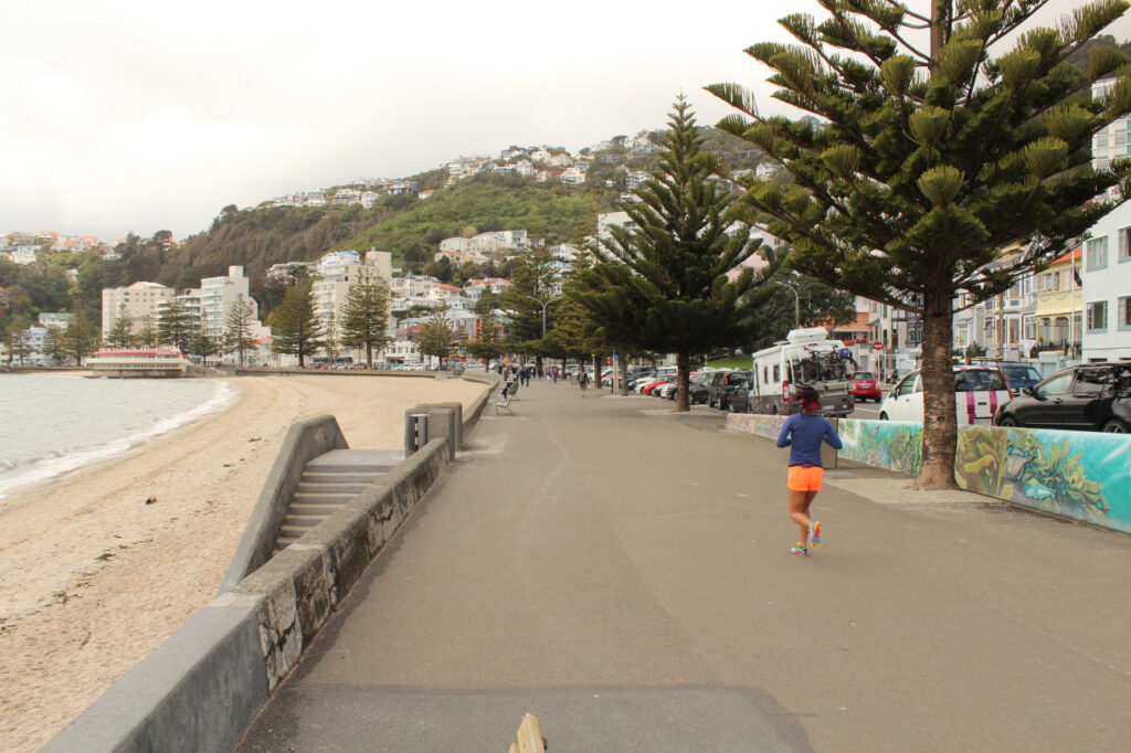 Beach in Wellington city