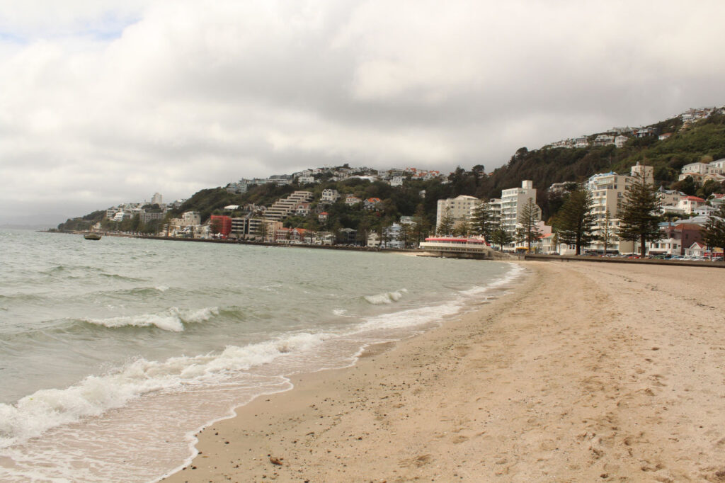 oriental bay beach