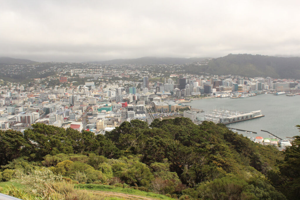 Visão geral da cidade de Wellington