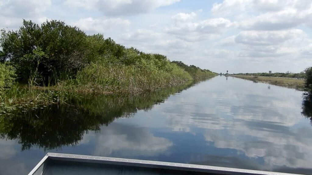 Area alagada do everglades