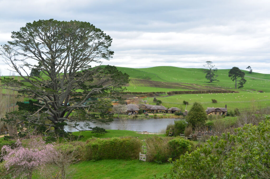 Tree where Bilbo's 130th birthday party was held