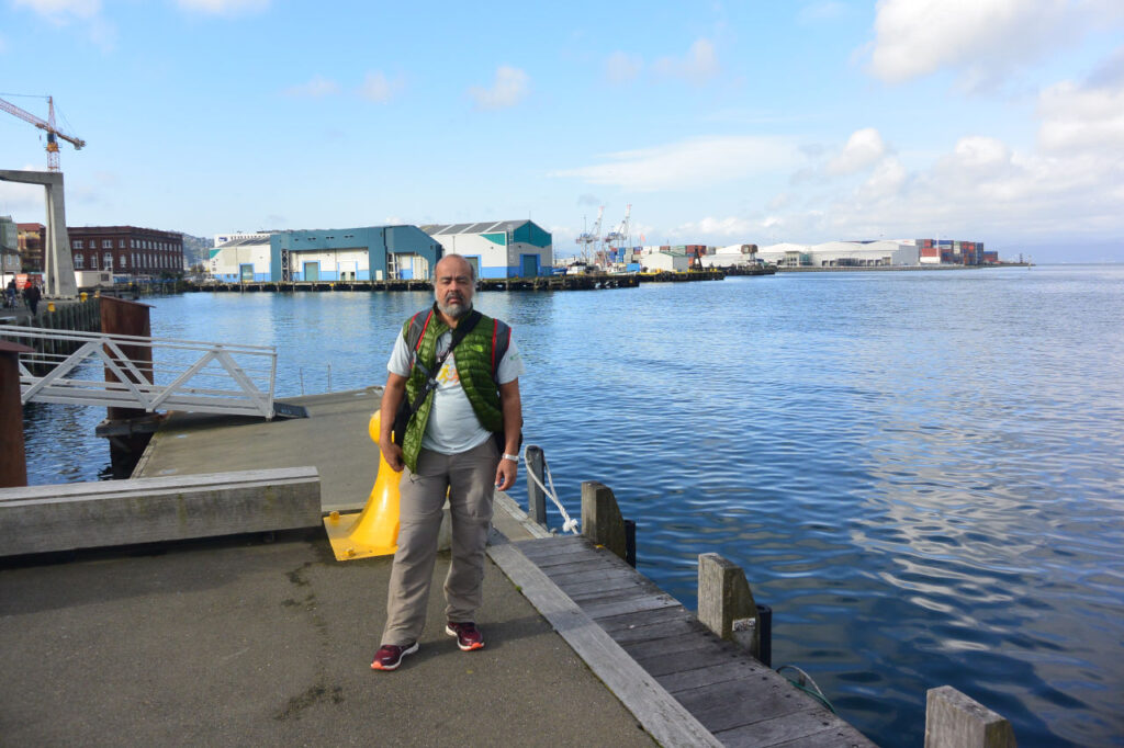 Porto da cidade de Wellington