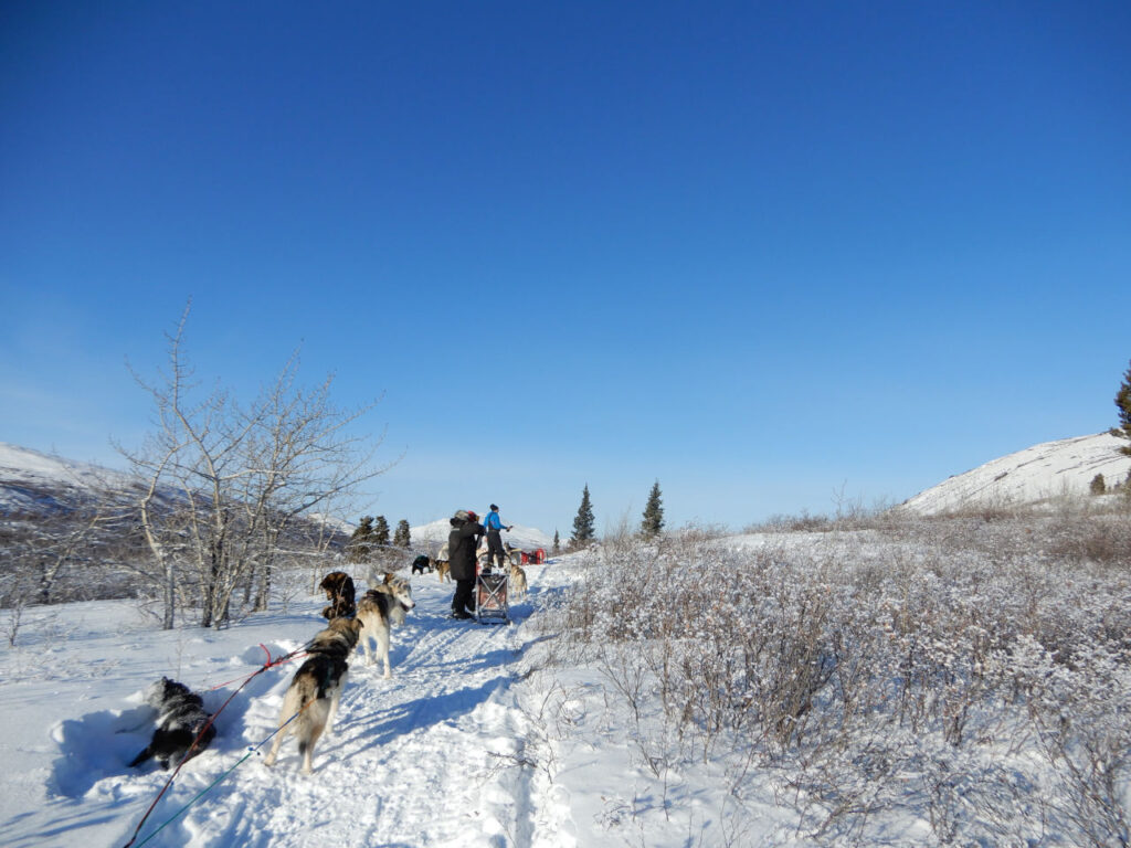 Trail to the mountains