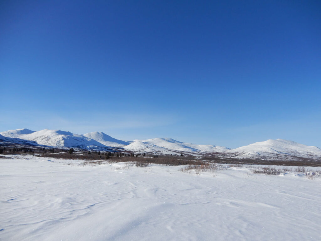 Frozen fish lake