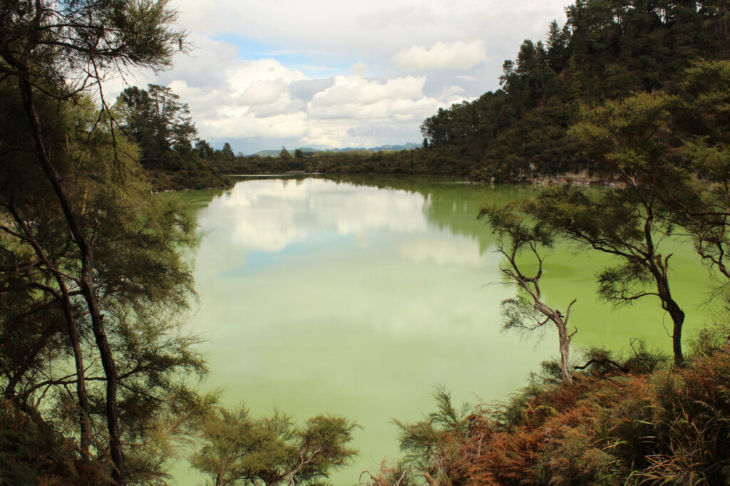 lake Ngakoro