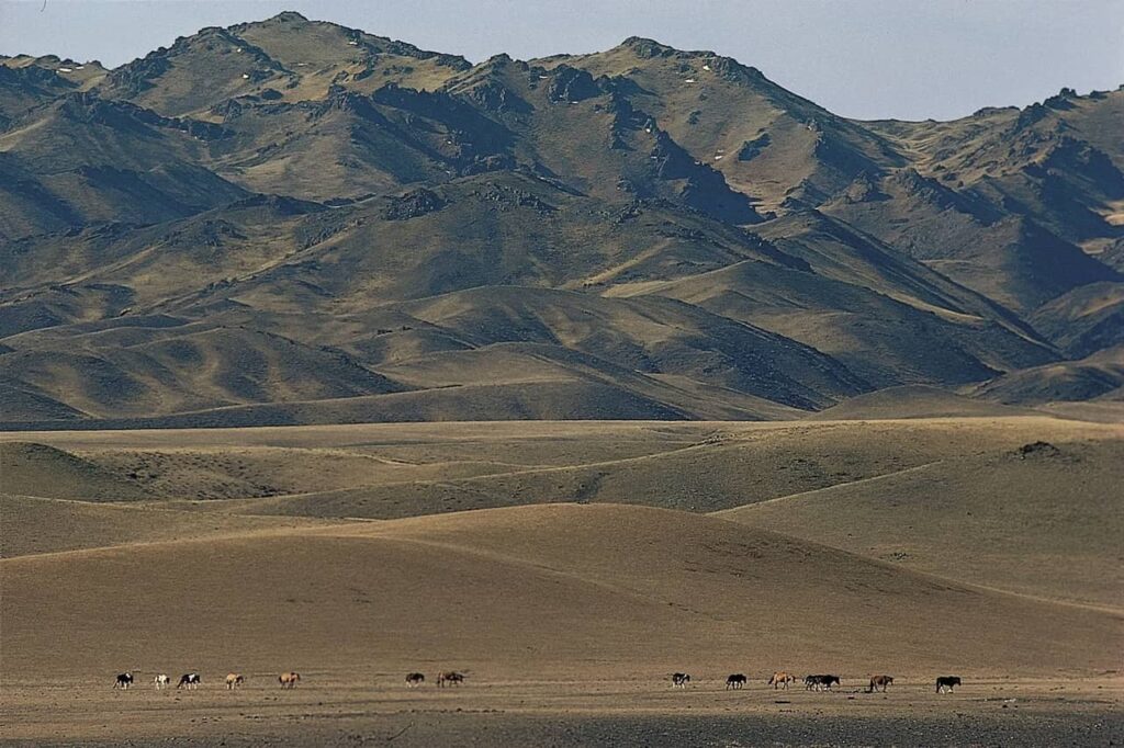 Gobi Desert in Mongolia