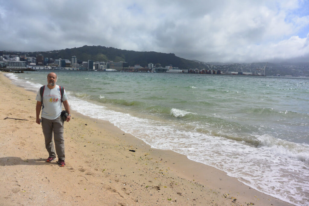 Praia da baía oriental - Nova Zelândia