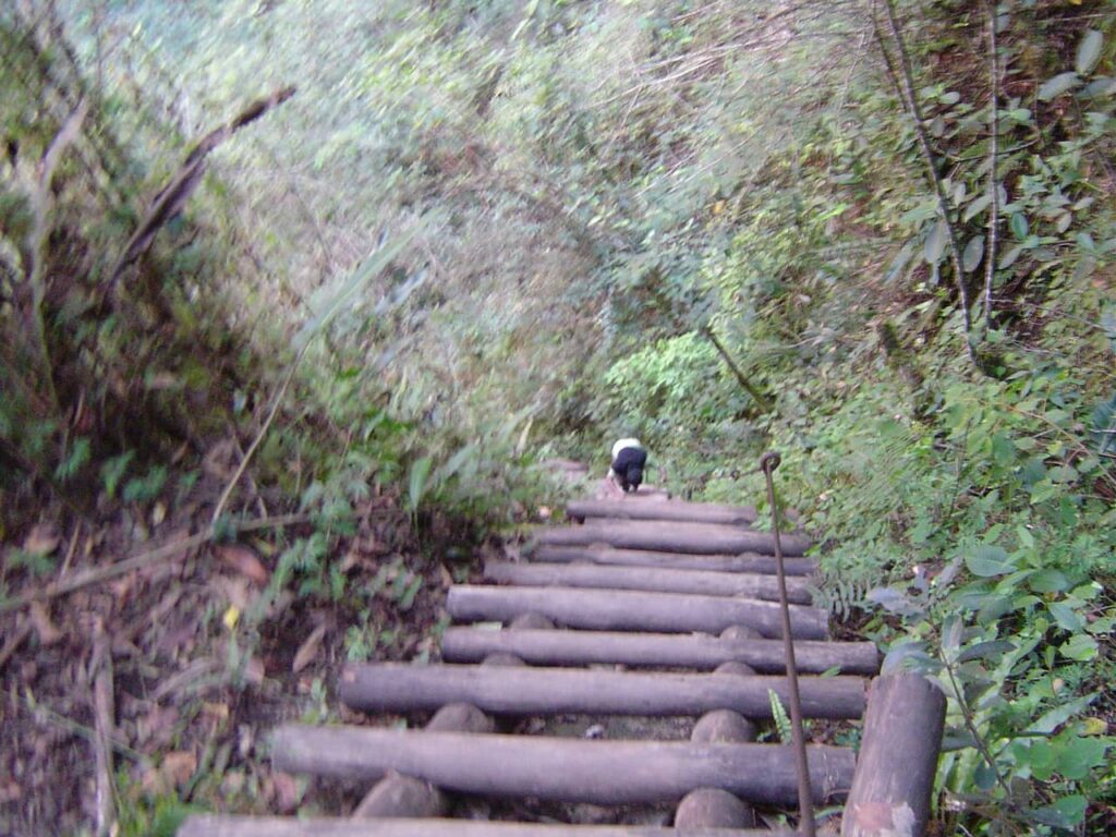 Staircase on the trail