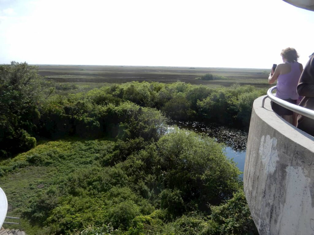 Vista da torre de observação