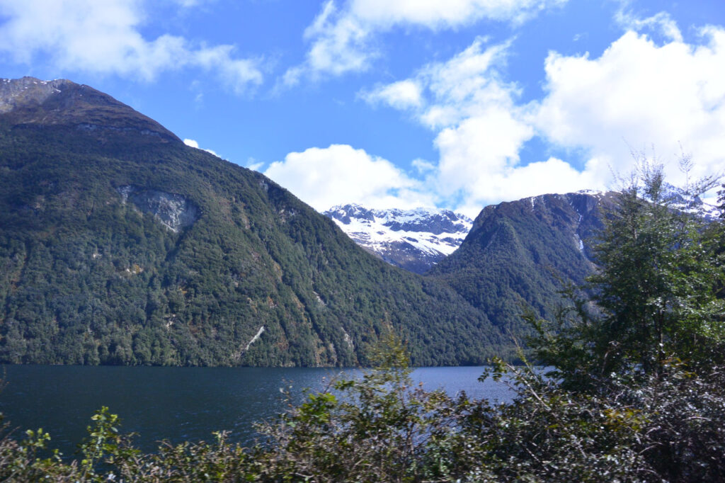 Caminho para Milford sounds - Nova Zelândia