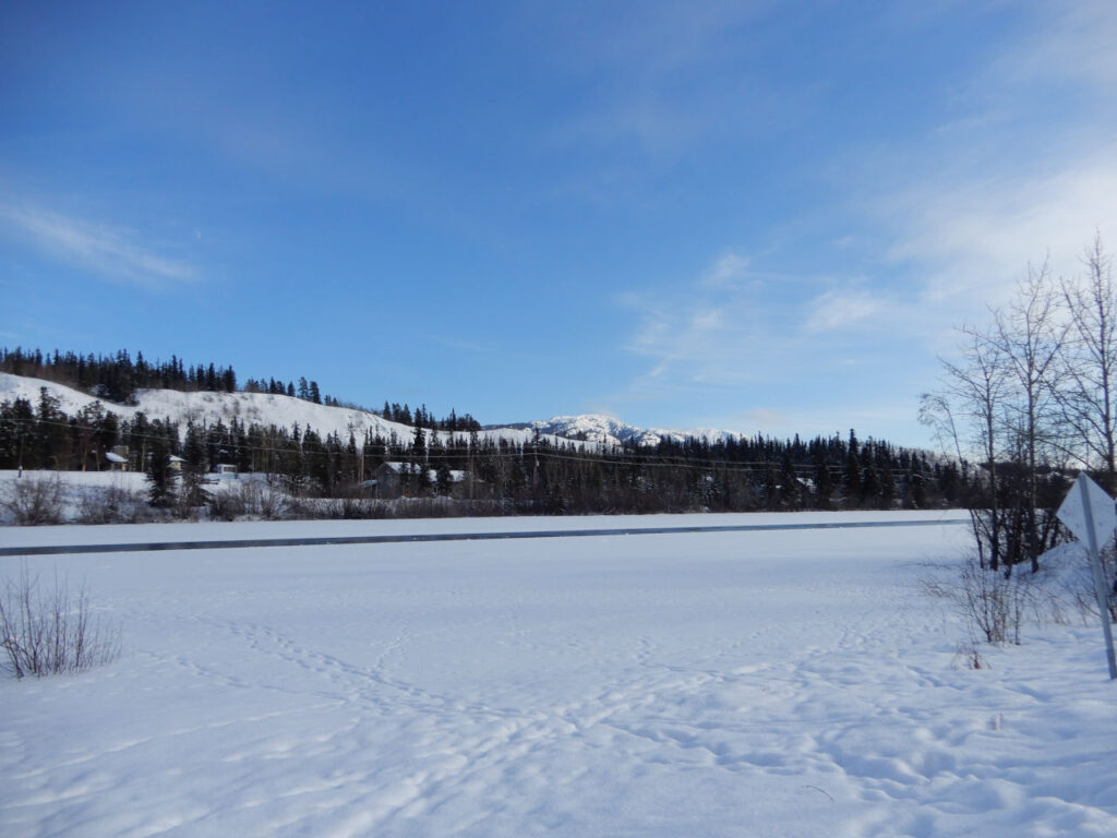 Frozen Yukon River - Dog Sledding