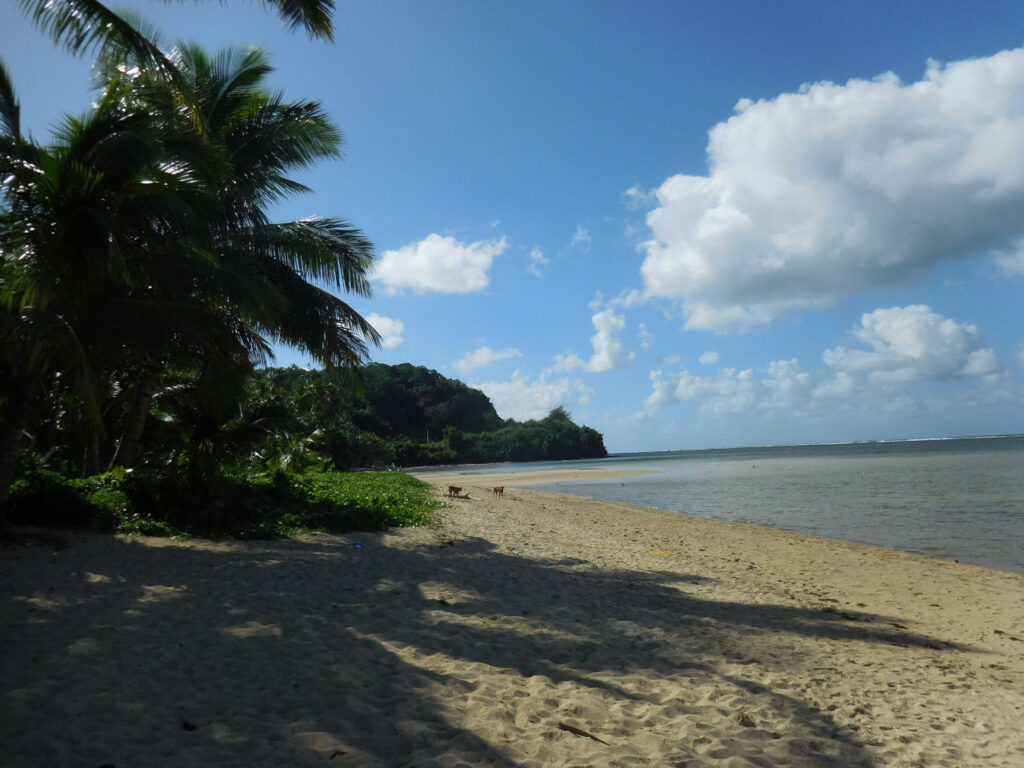 Beach House Beach Fiji Islands