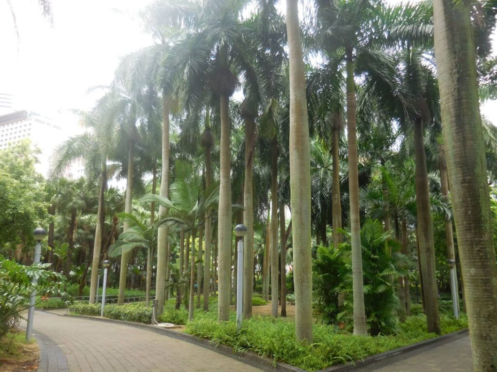 Parque Victoria