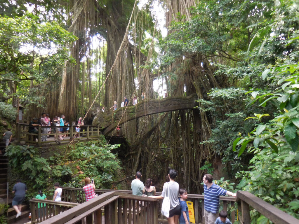 Floresta dos macacos em Ubud - Indonésia