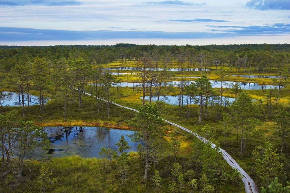 Lahemaa National Park - Estonia