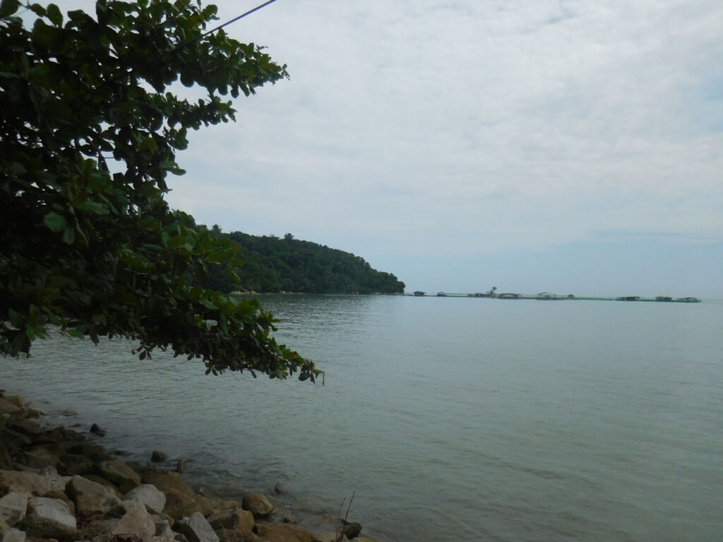 Penang National Park