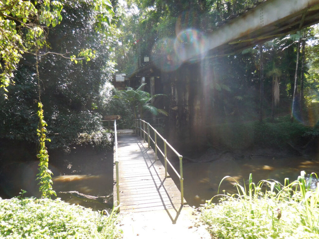 Trail in Kuranda