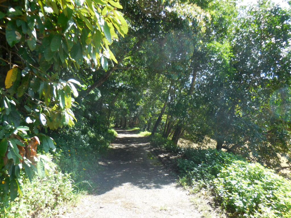 Trail in Gorge Park