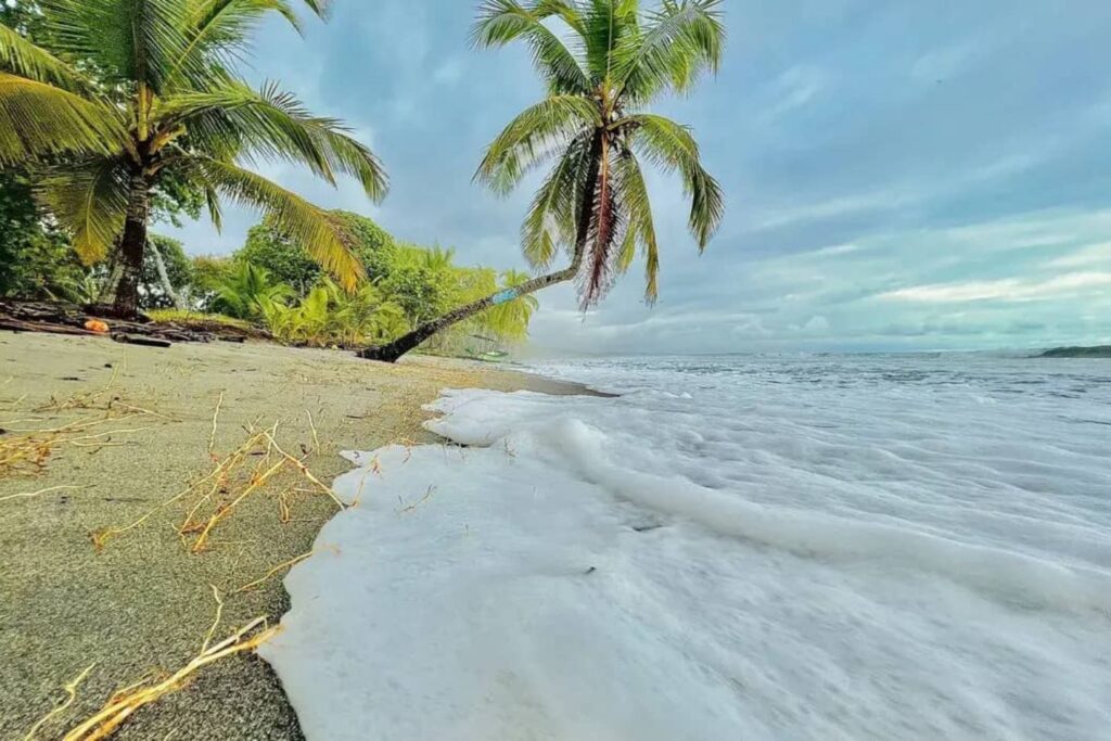 Esterillos Beach