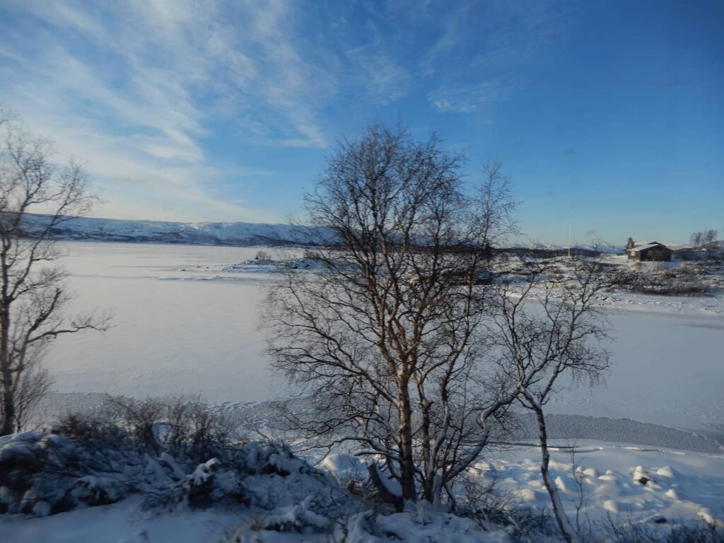 Frozen lake