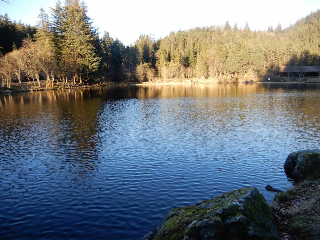 Lake on Mount Floyen