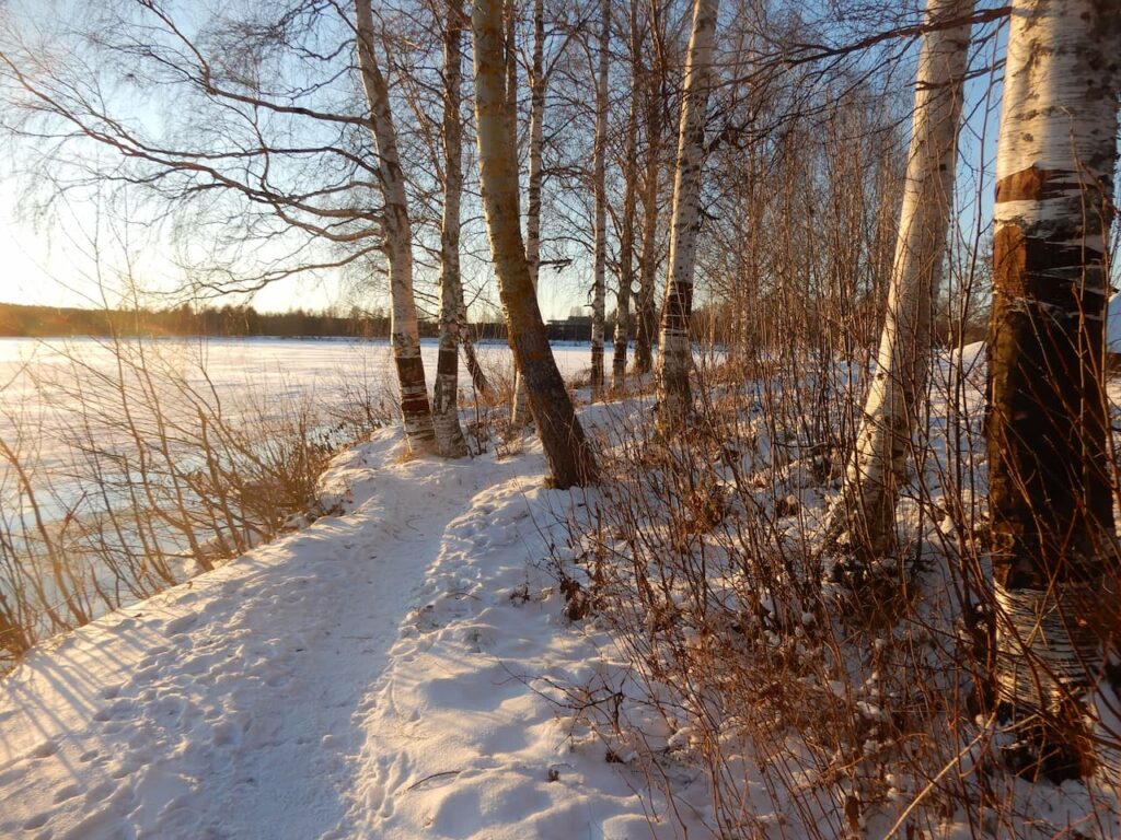 Trail along the frozen Kemijoki River