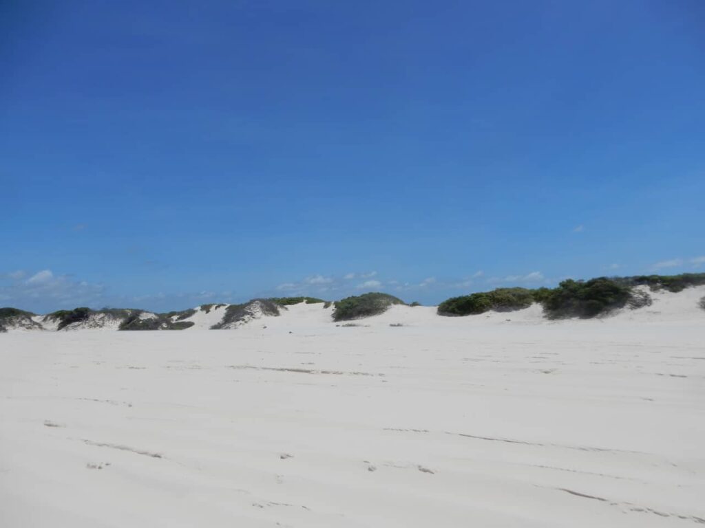 Lençóis Maranhenses