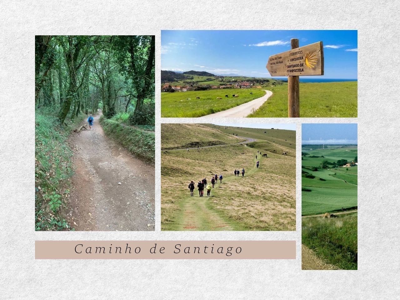 Caminho de Santiago - Melhores trilhas do mundo.