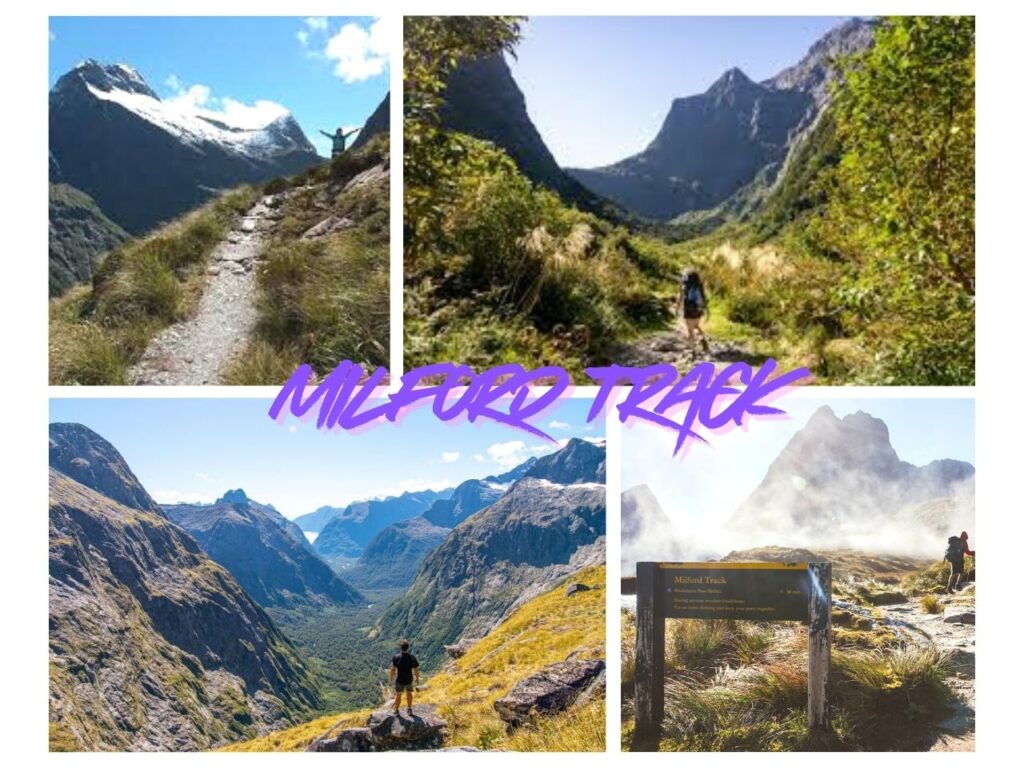Milford track