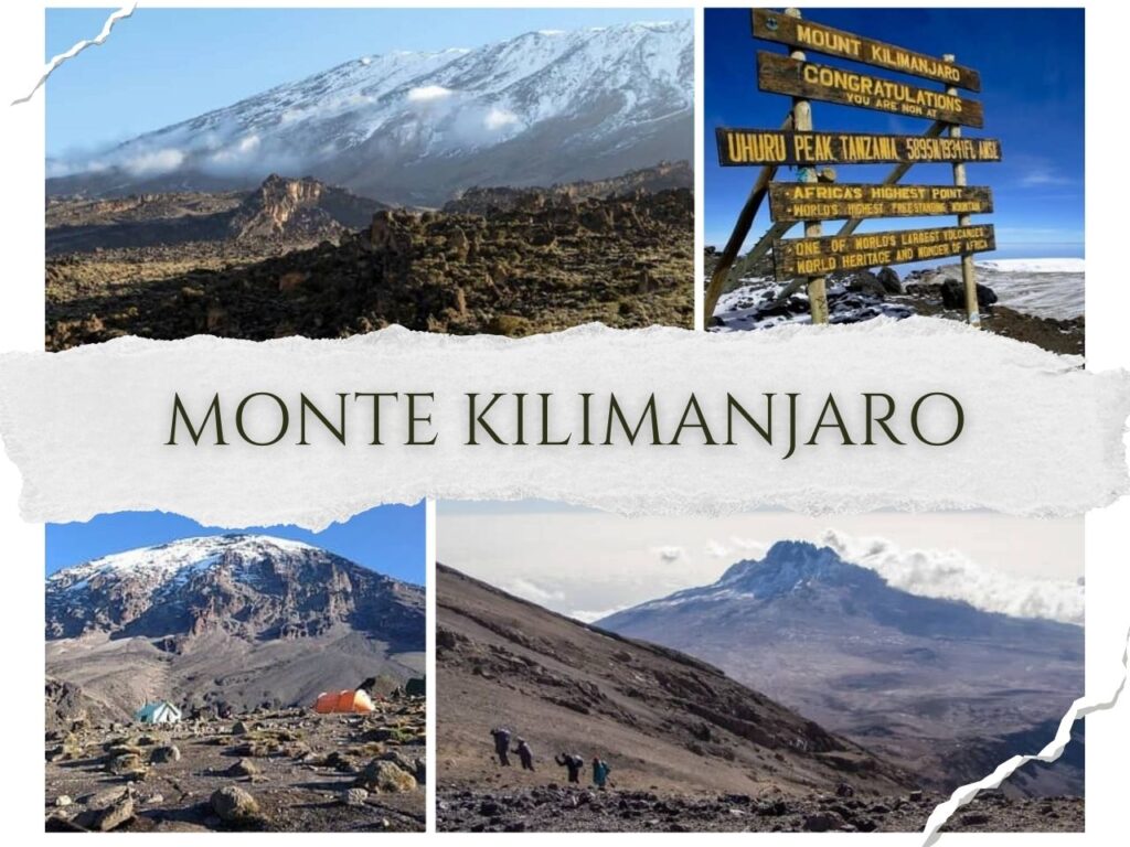 kilimanjaro