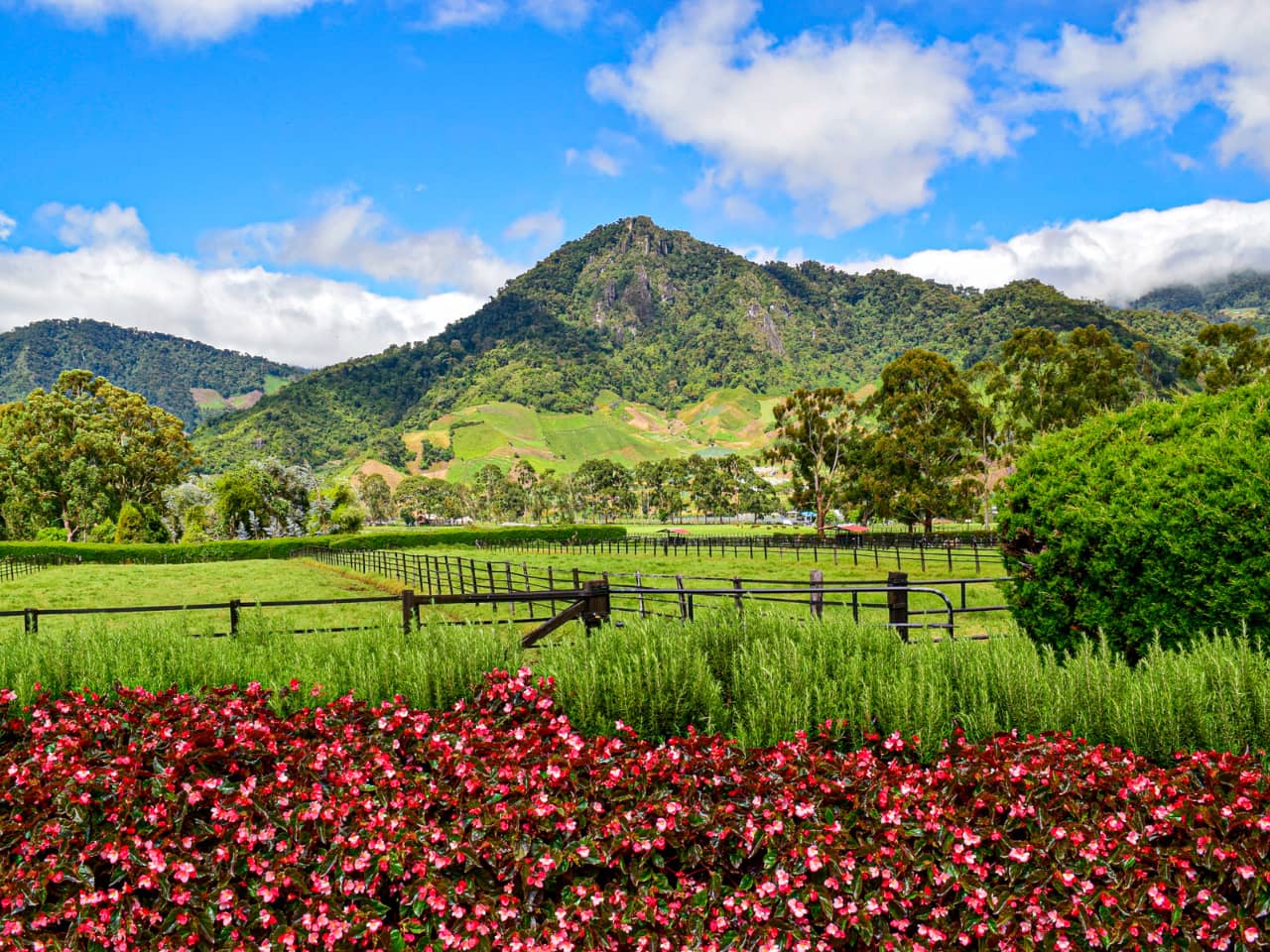 Cerro Punta - Chiriqui